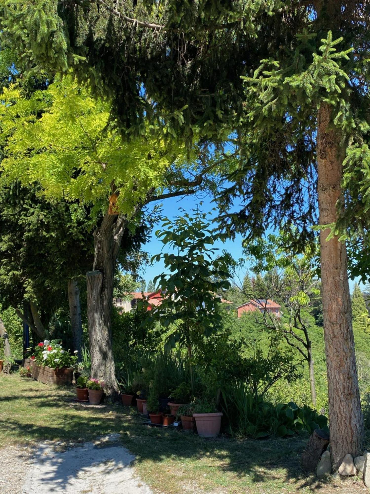 Moncrivel Rooms & Relax Benevello Zewnętrze zdjęcie